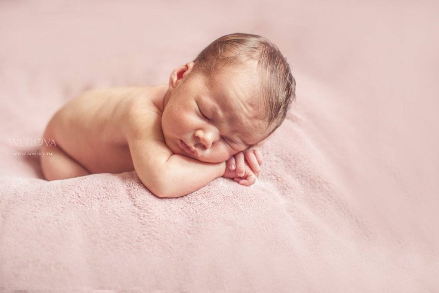 , Светлова Анастасия