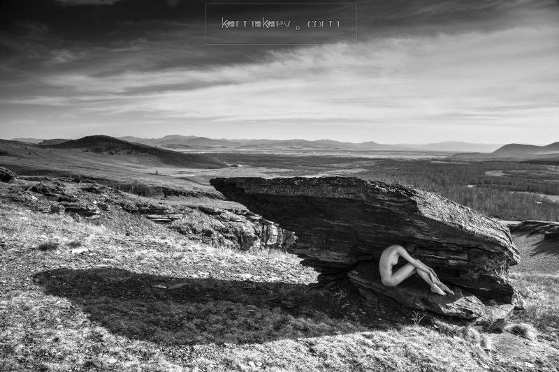 Recluse фото превью