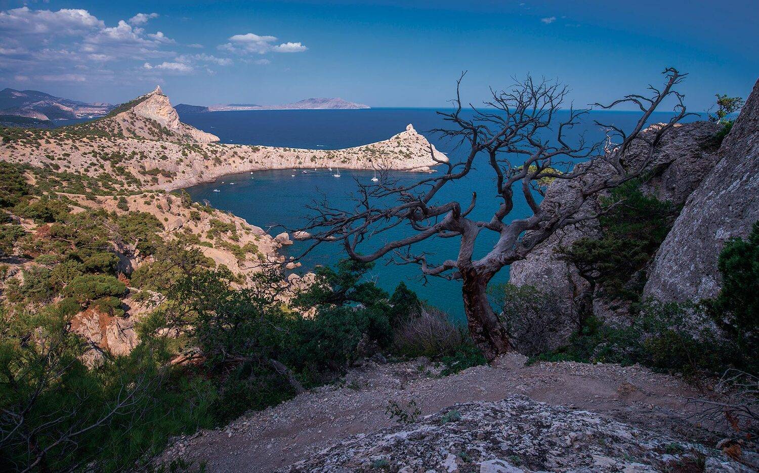 , Владлен Халимов