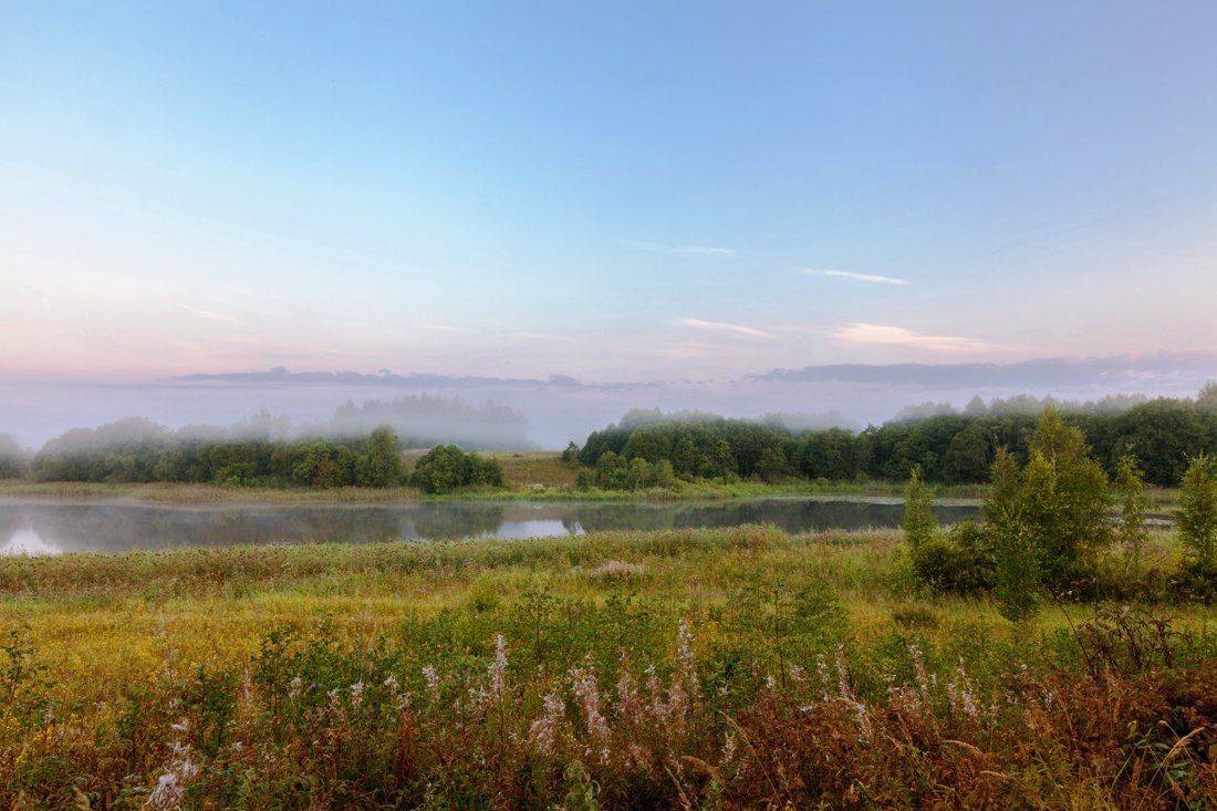 , Дара Пилюгина