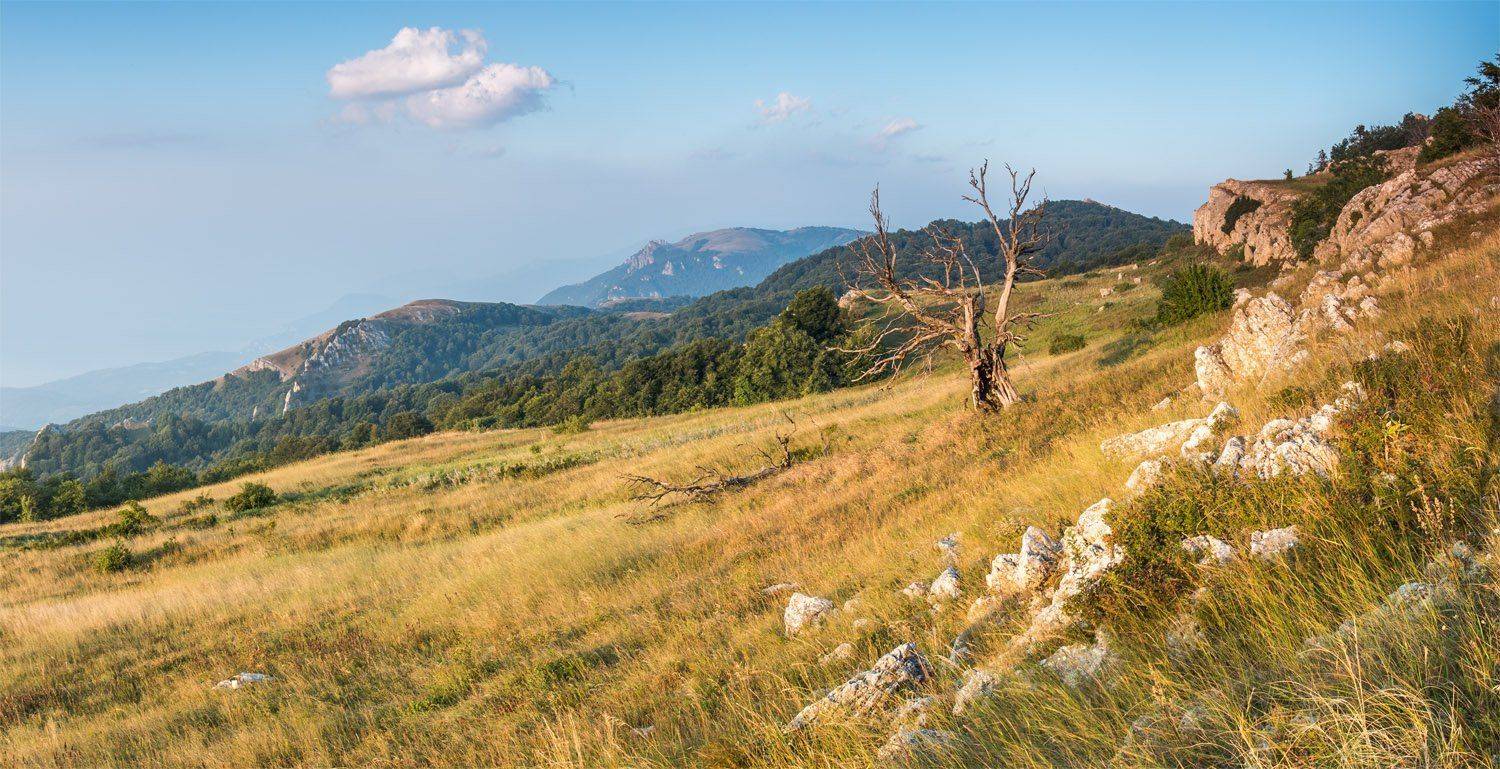 , Станислав Савицкий