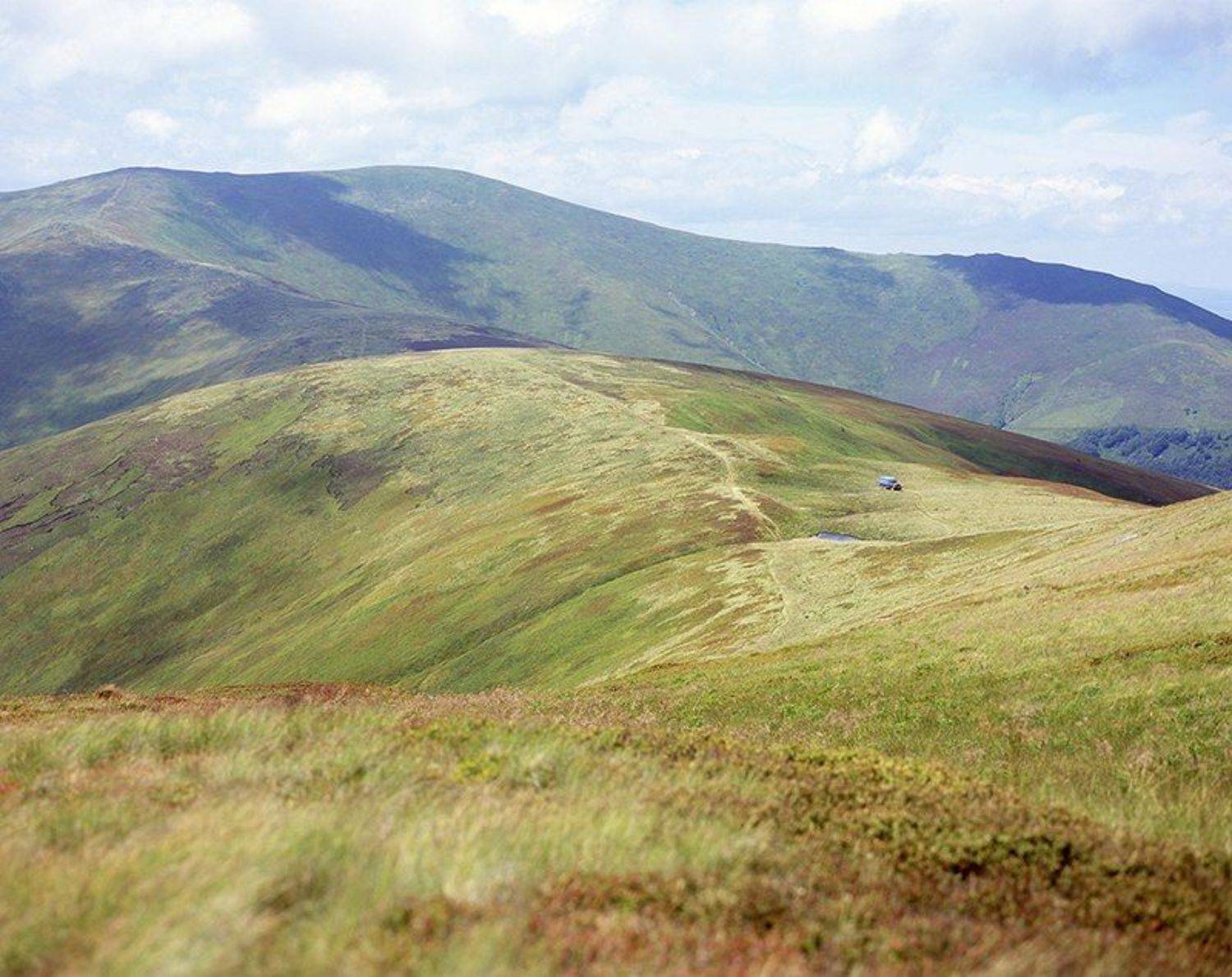 , Стамескин Даниил