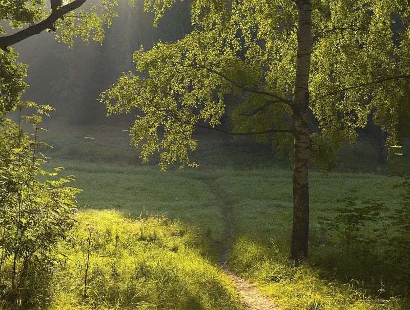 ~113~ фото превью