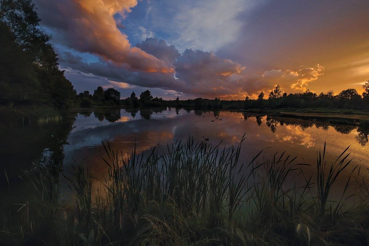 , Аркадий Белов