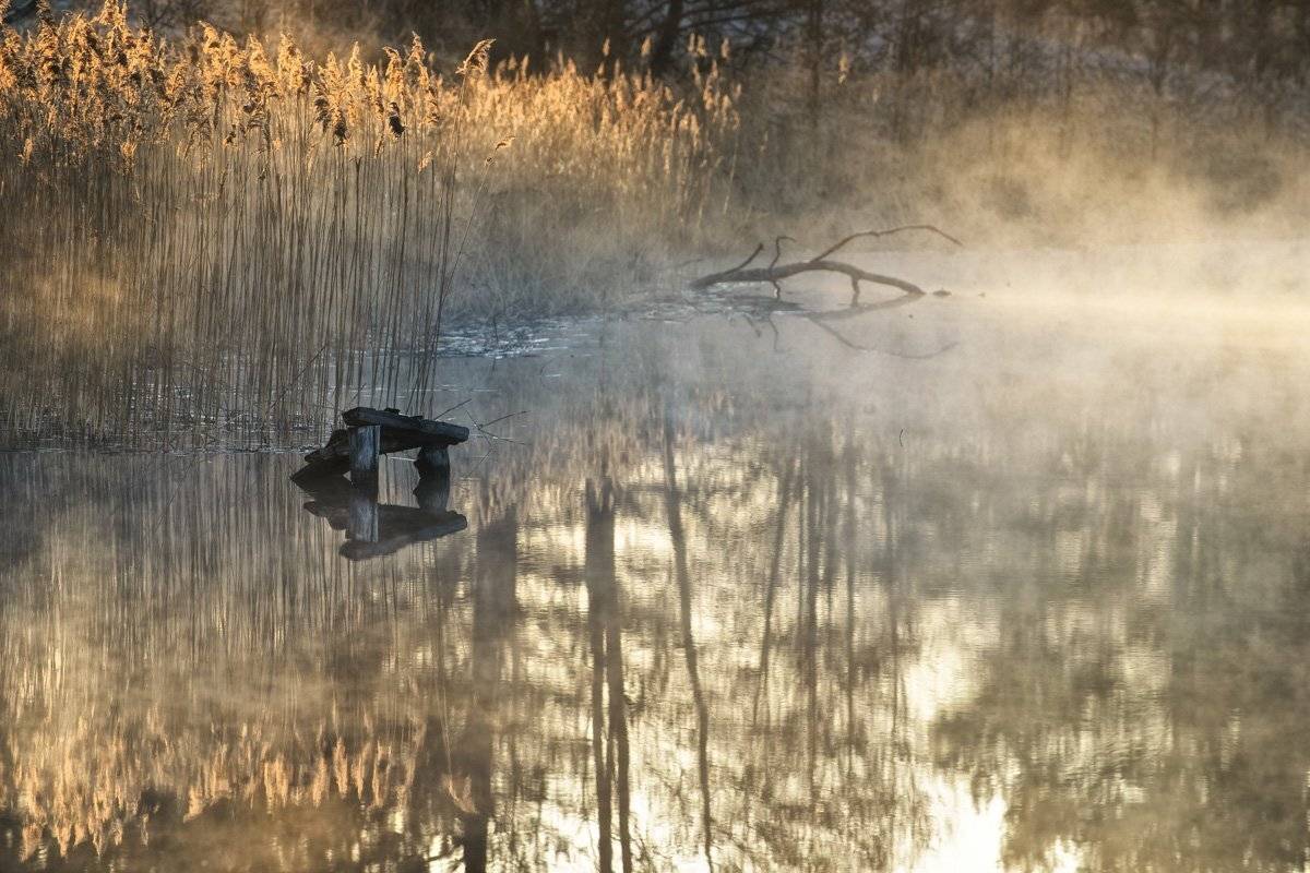 , Rimantas Bikulcius