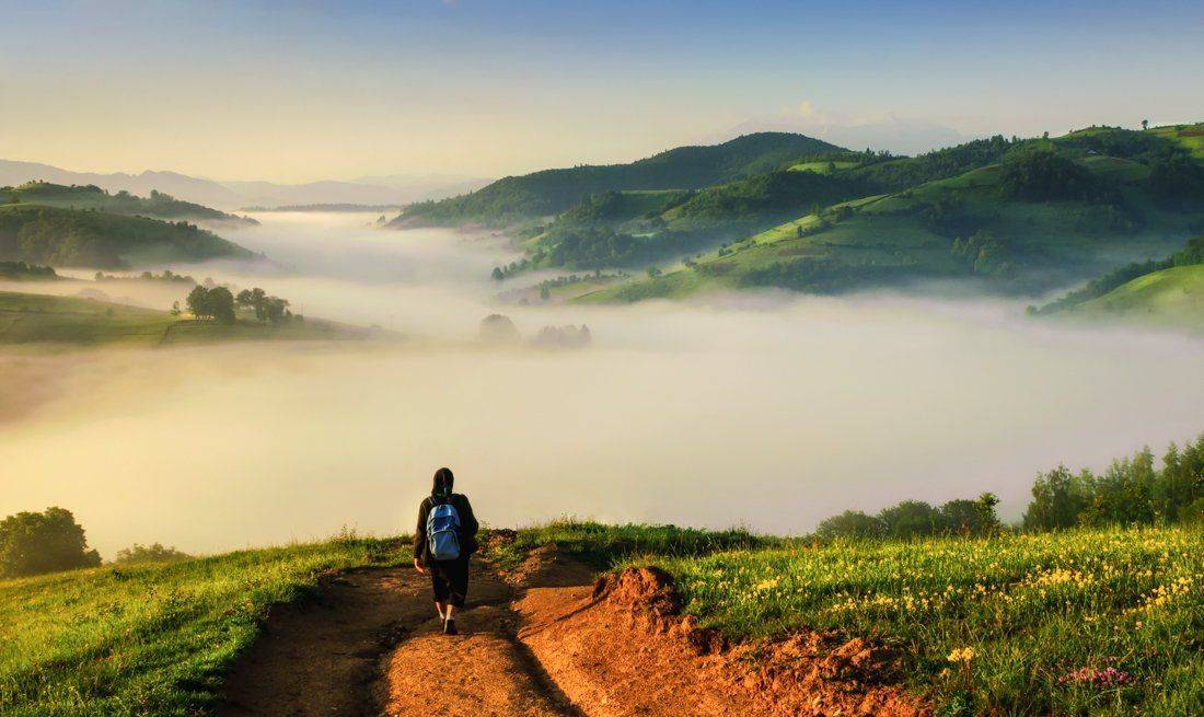 Fog, Green, Hill, Landscape, Sunrise, Ioan Chiriac