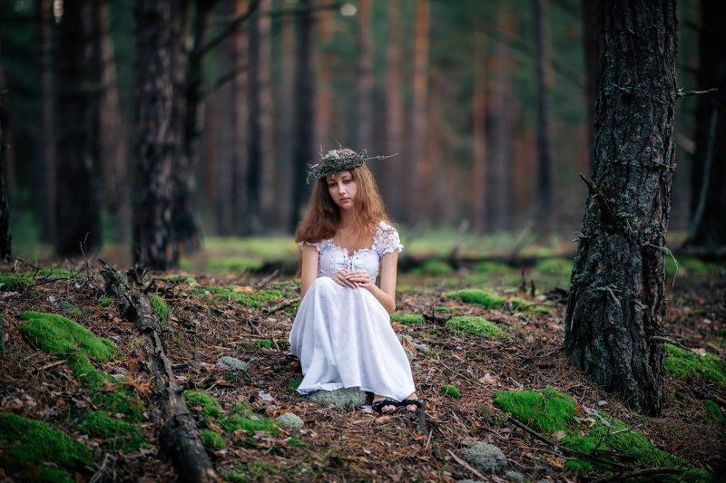 Вечер в лесу фото превью