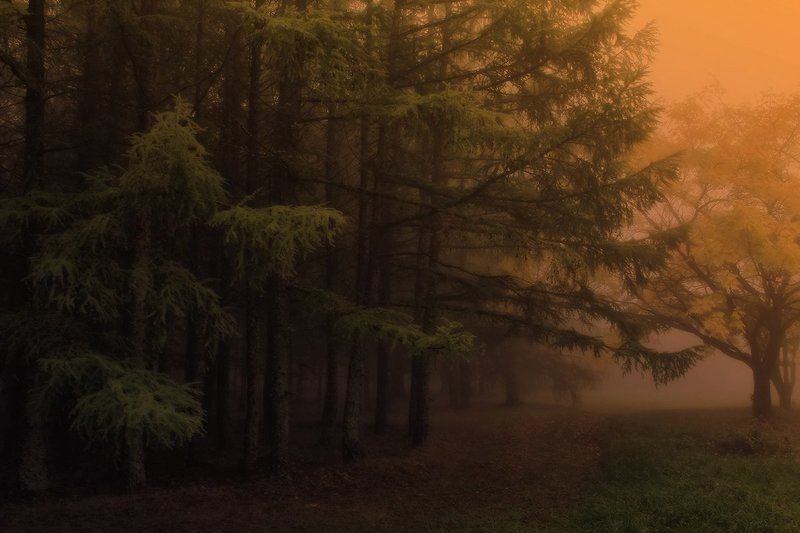 *** фото превью