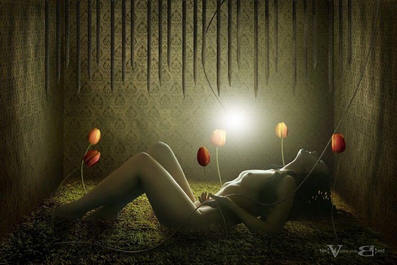 Возможность фото превью