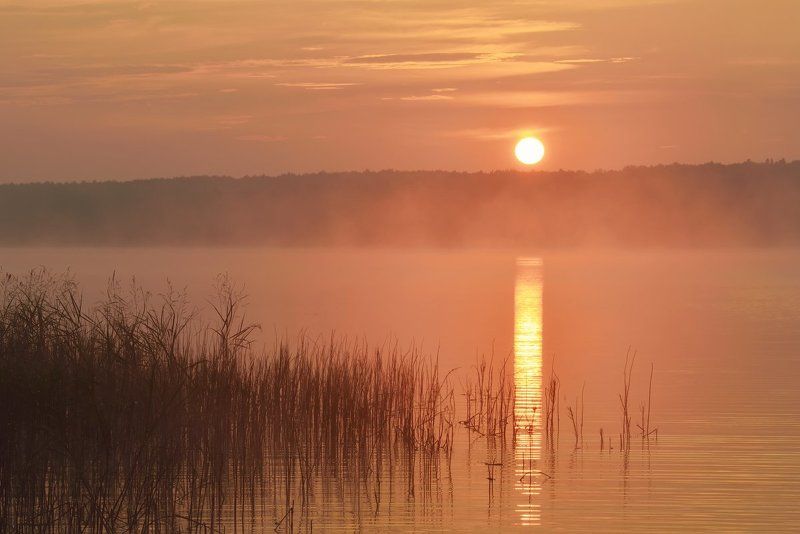 Вашутино *** фото превью