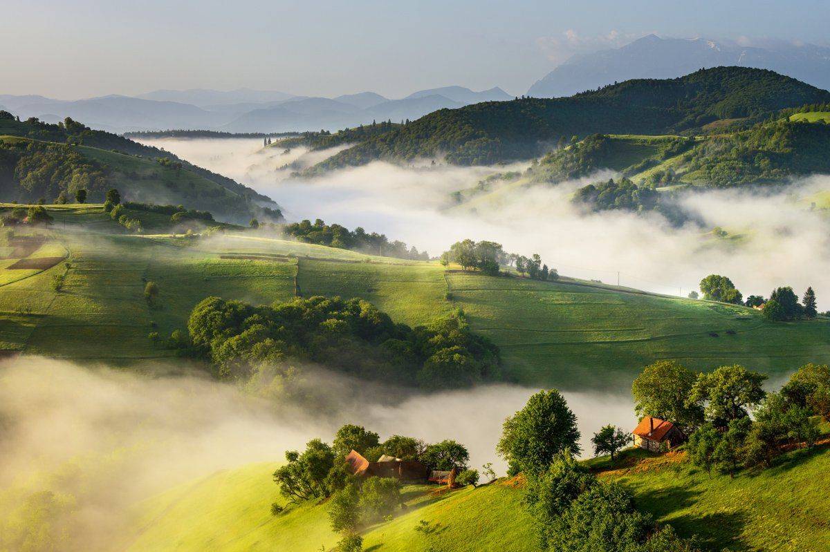 Fog, Hill, Landscape, Nature, Ioan Chiriac