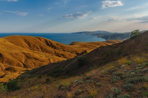 Зарисовки из окрестностей Лисьей бухты.