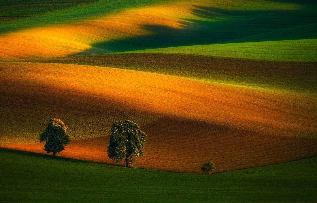 Moravia, Moravialight, Pawel, Uchorczak, Pawel Uchorczak