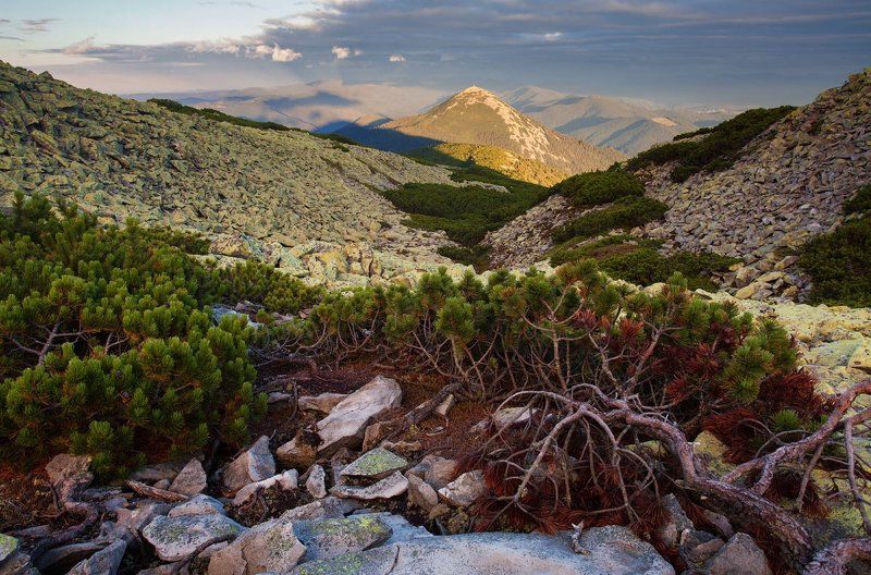 Жолоб фото превью