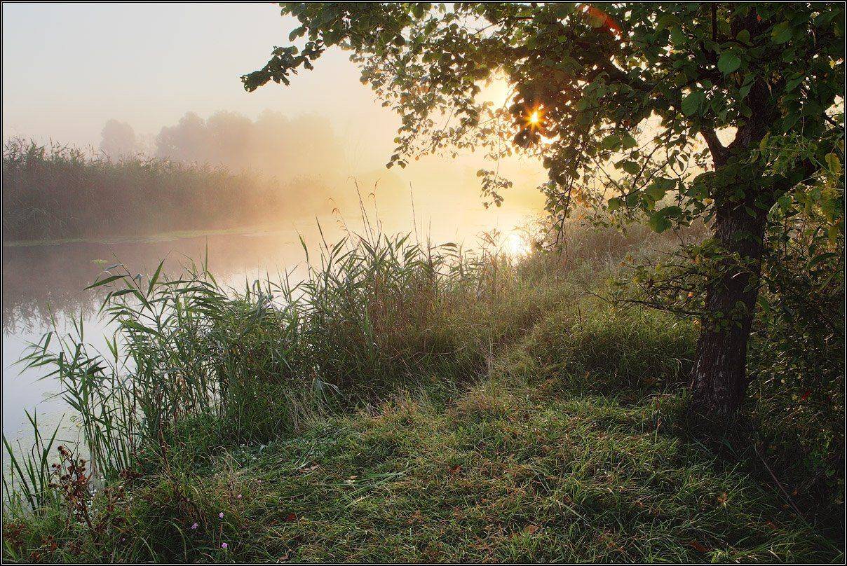 , Михаил (mgk)