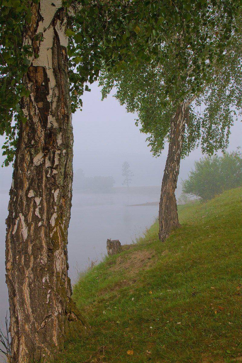 , Николай Морский