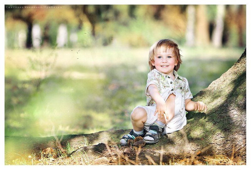 Ворошиловский стрелок фото превью