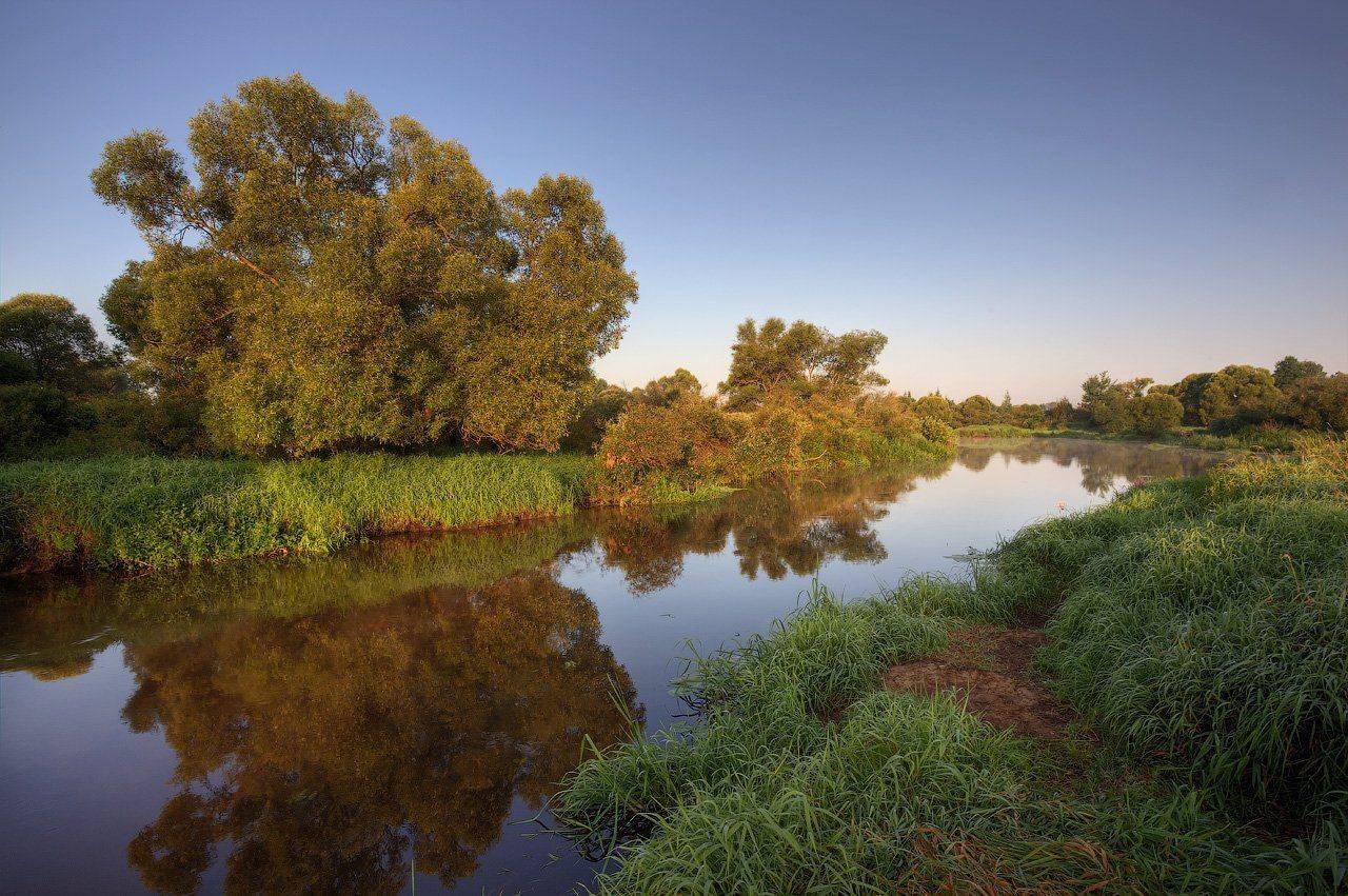 , Александр Аседач