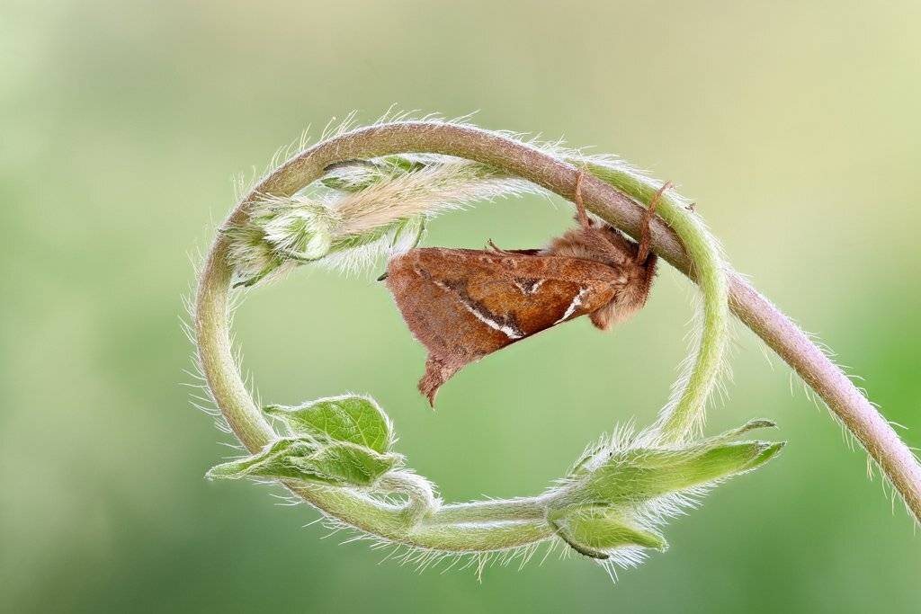 , Сергей Таланов