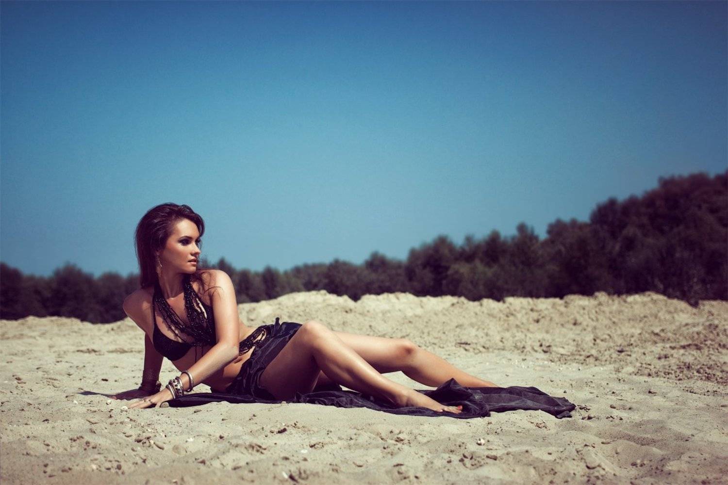 , Александр Степенко