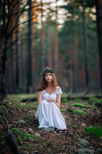 Вечер в лесу II