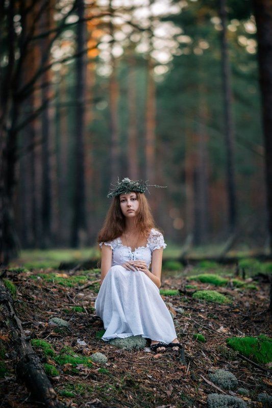 Вечер в лесу II фото превью