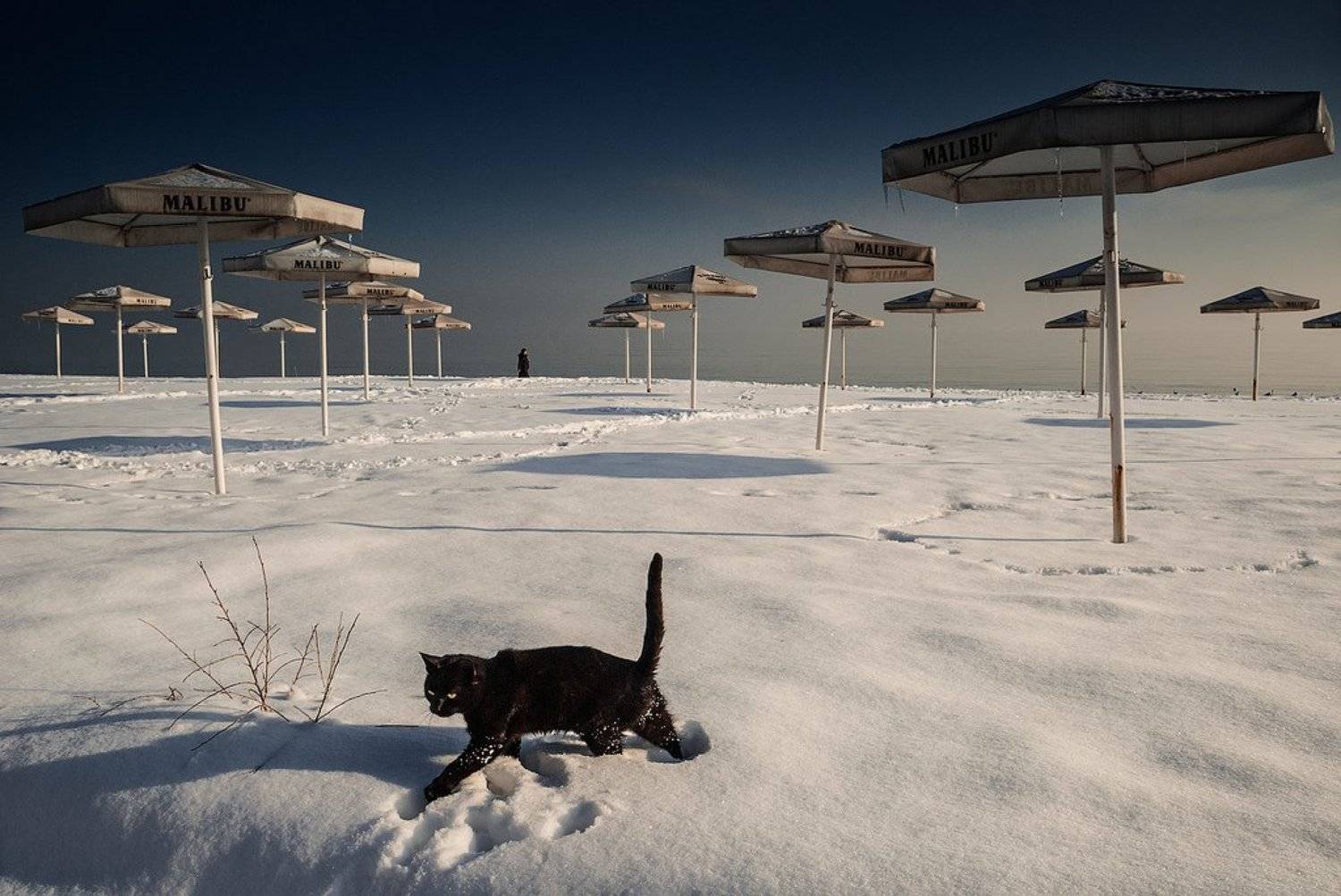 Одесса, Сорокин Олег