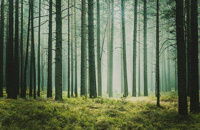 , Марина Сивакова