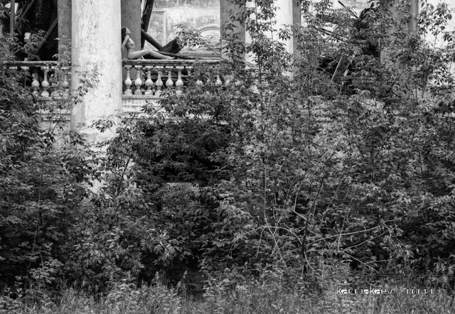 , Александр Камакаев