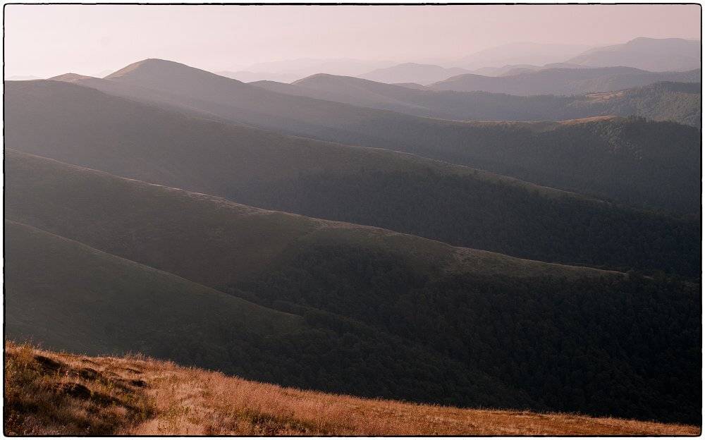 , Полищук И.В.