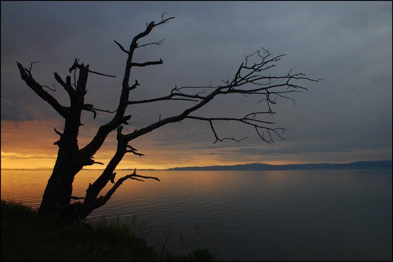 Трещина фото превью