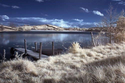 Dreamland