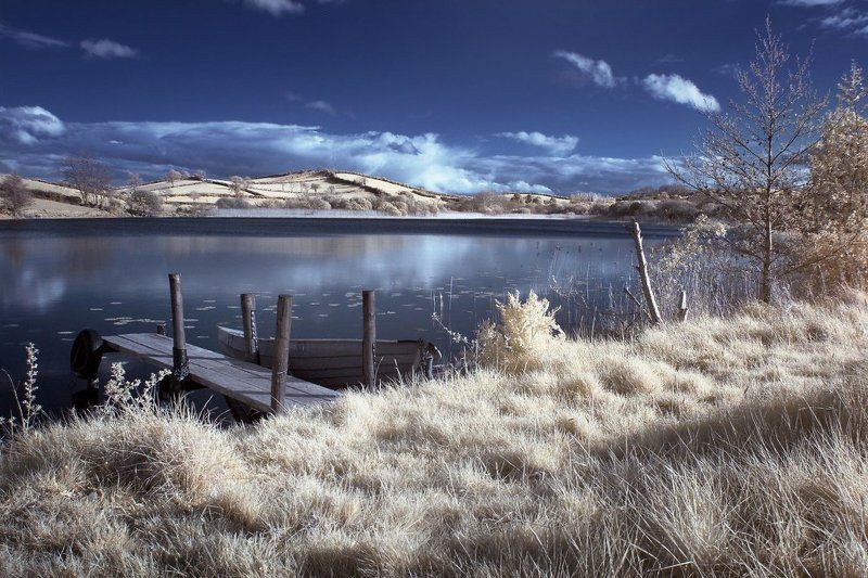 Dreamland фото превью