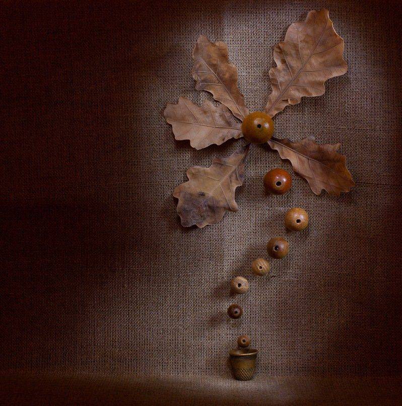 , Страшенко Евгений