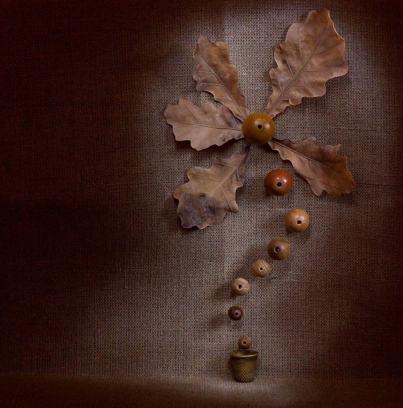 Цветочек фото превью