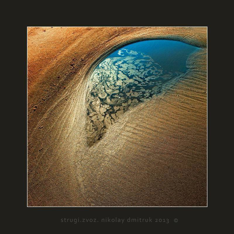 , николай дмитрук