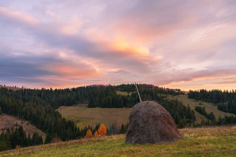 Карпаты Горы Рассвет Стог Осень НЕБЕСНЫЕ ВОЛНЫ. фото превью
