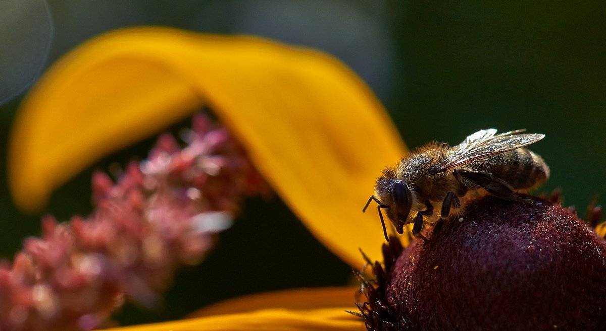 макро, Виктор Парщиков
