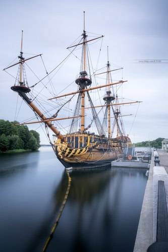 Гото Предестинация