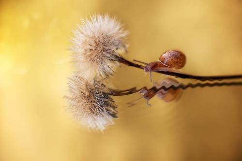 Отражение души