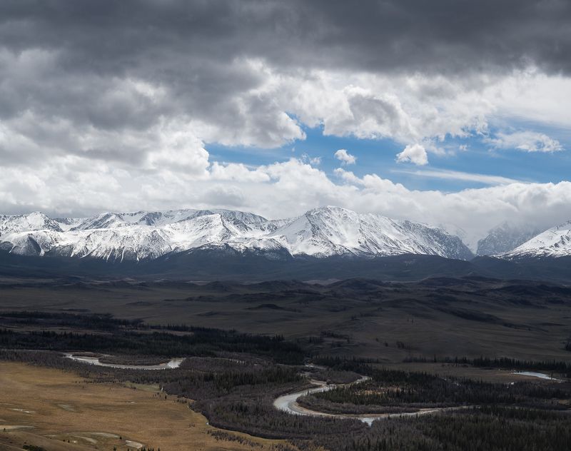 Курайская степь фото превью
