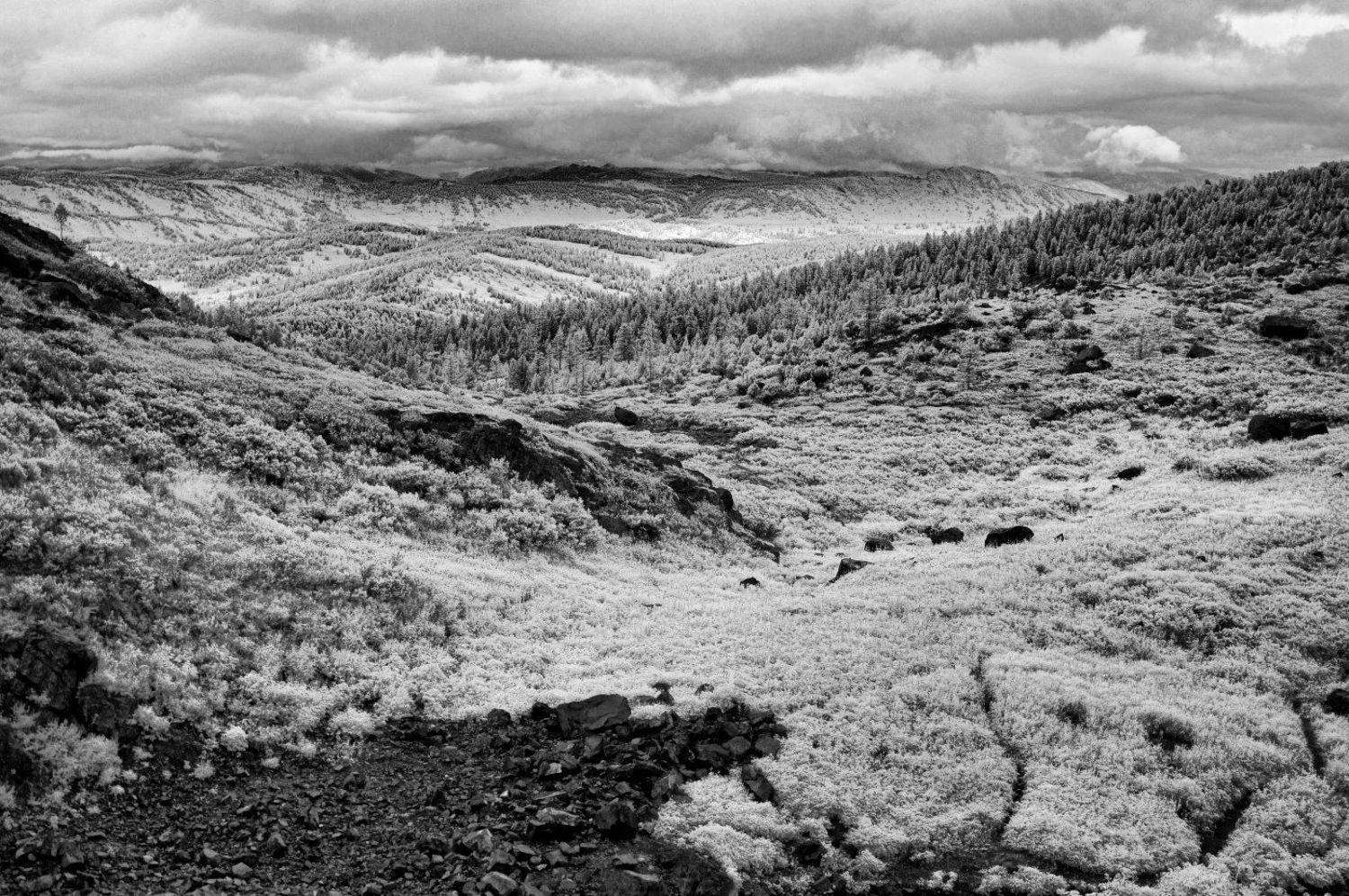 Алтай, Николай Ляпин