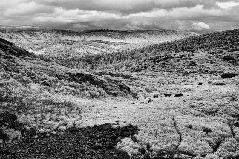 Алтай На склоне горы Красной. фото превью