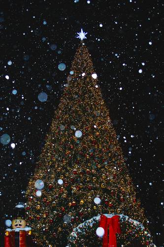 Новогодняя красавица