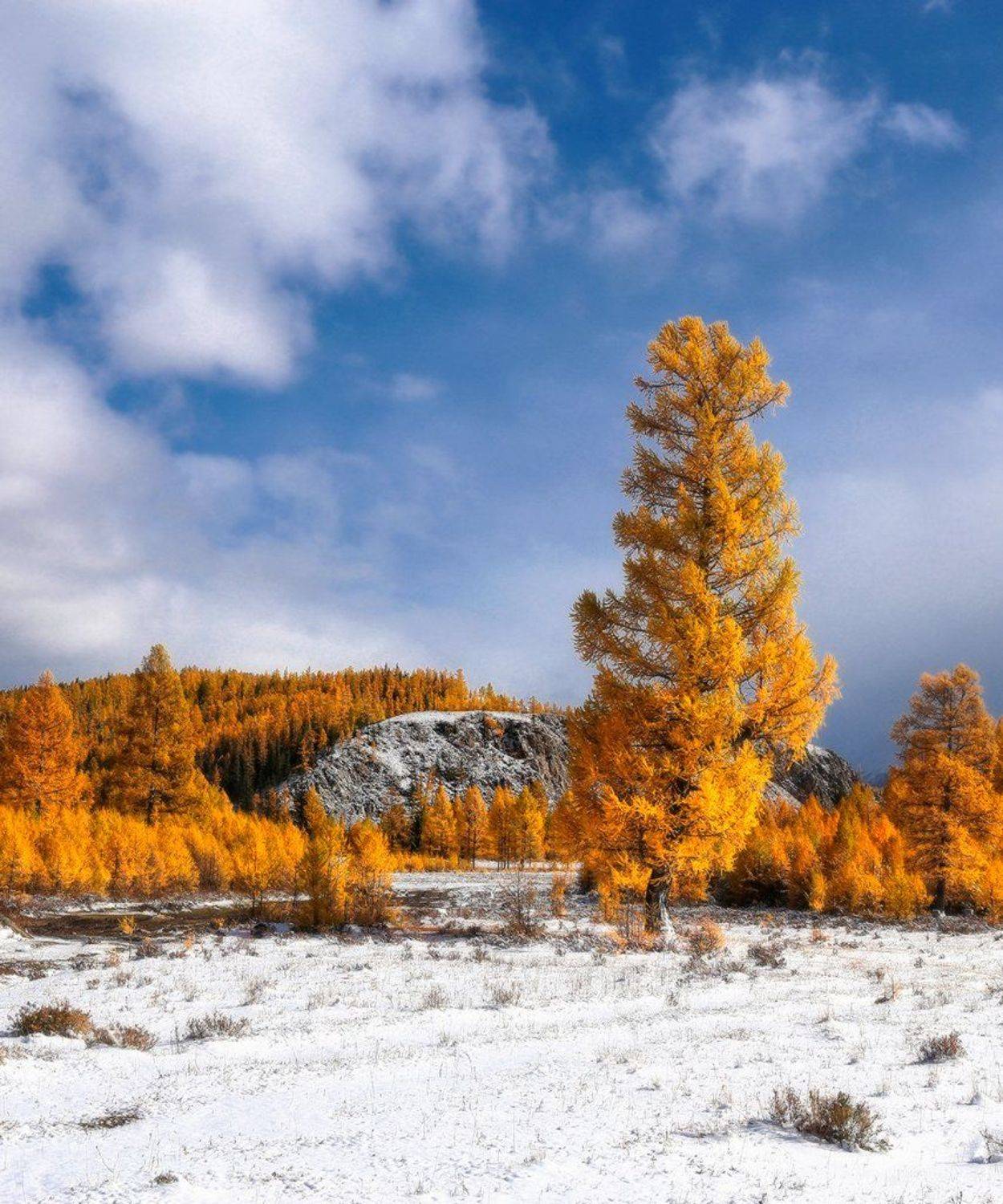 , Галина Хвостенко