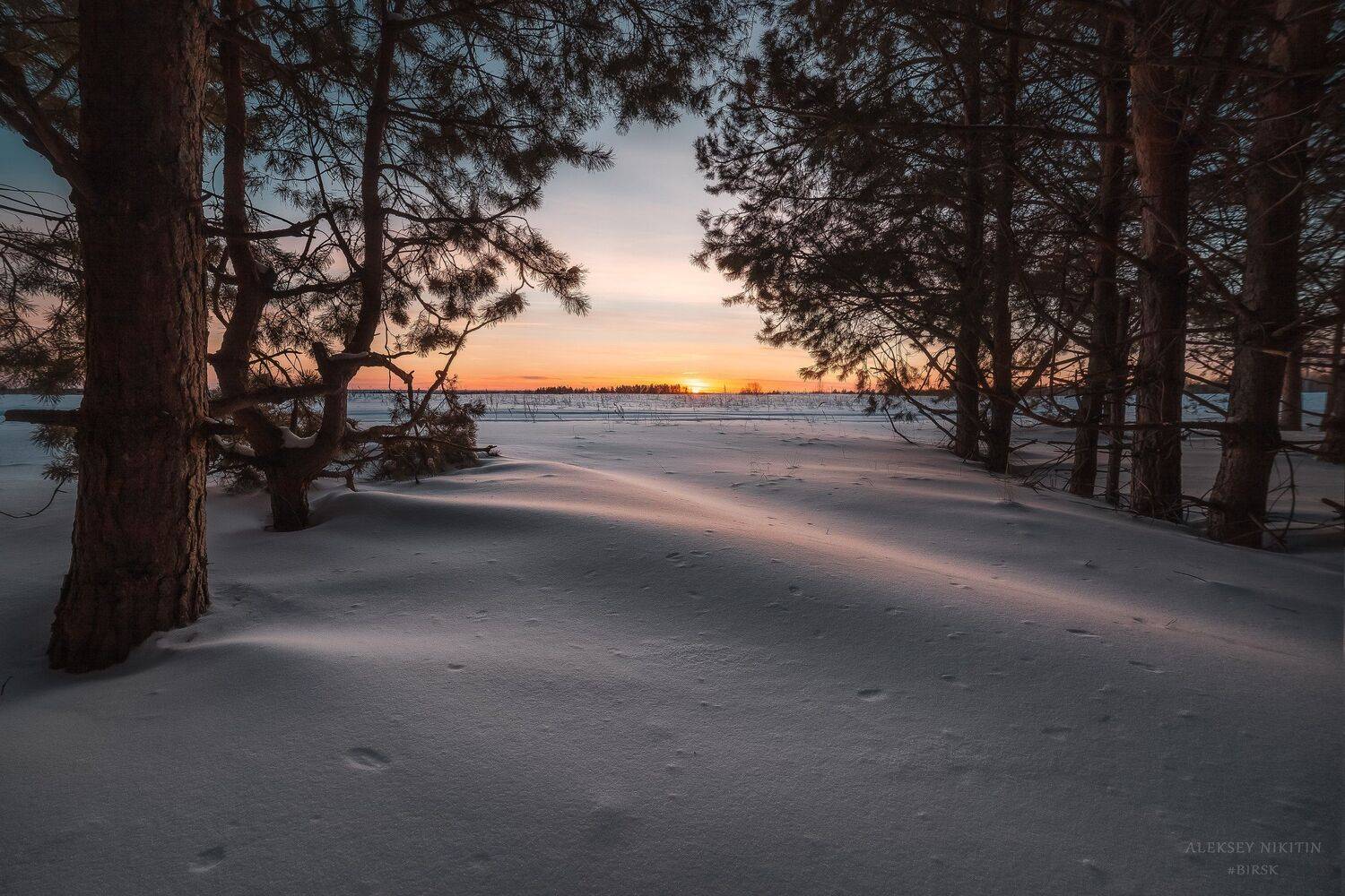 , Алексей Никитин