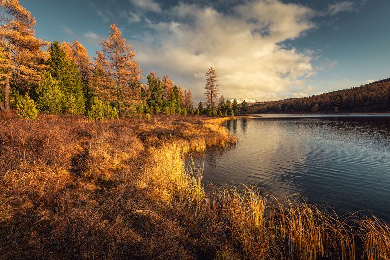 Озеро Киделю. Алтай фото превью