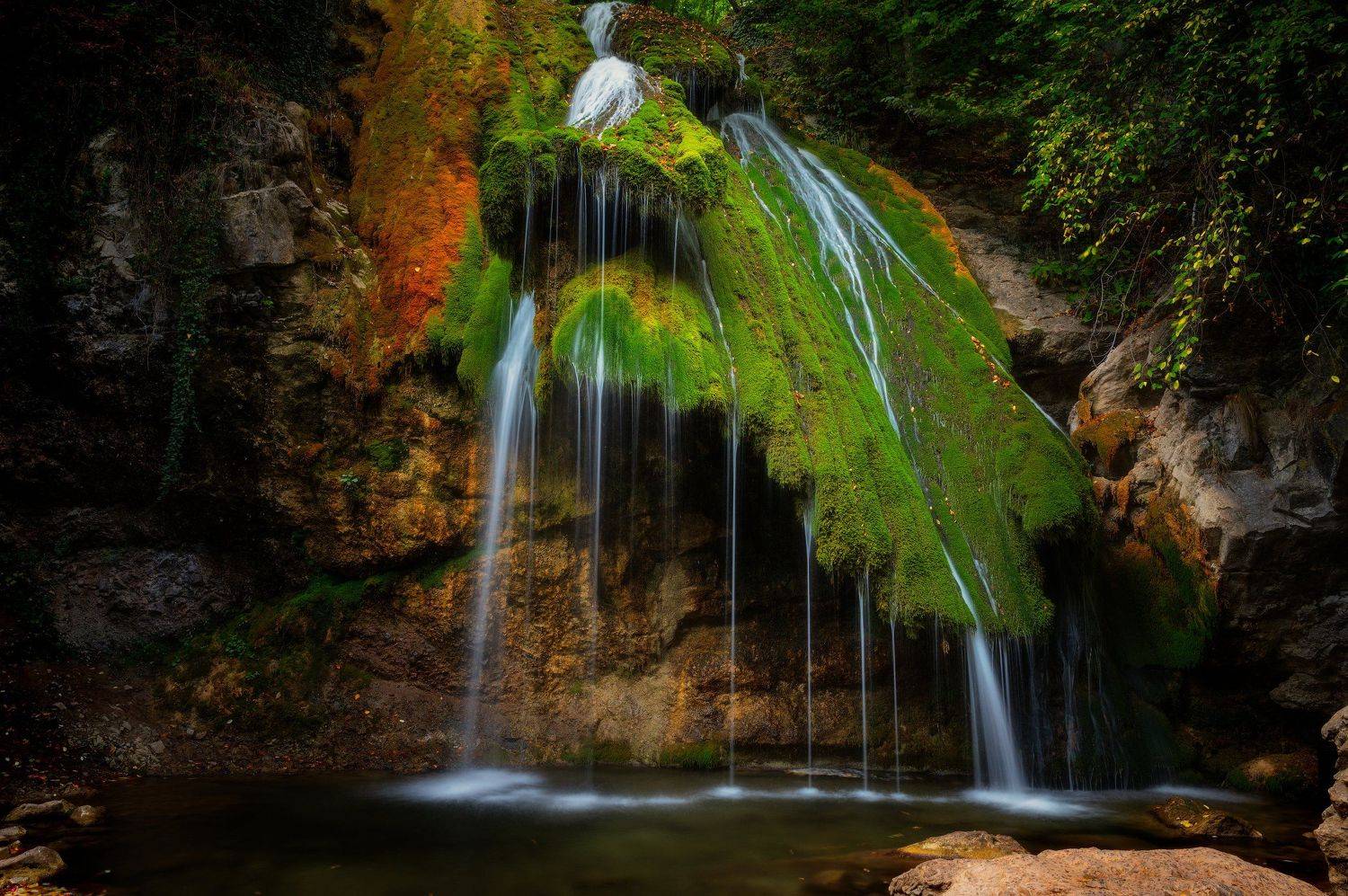 , Alexander Plekhanov