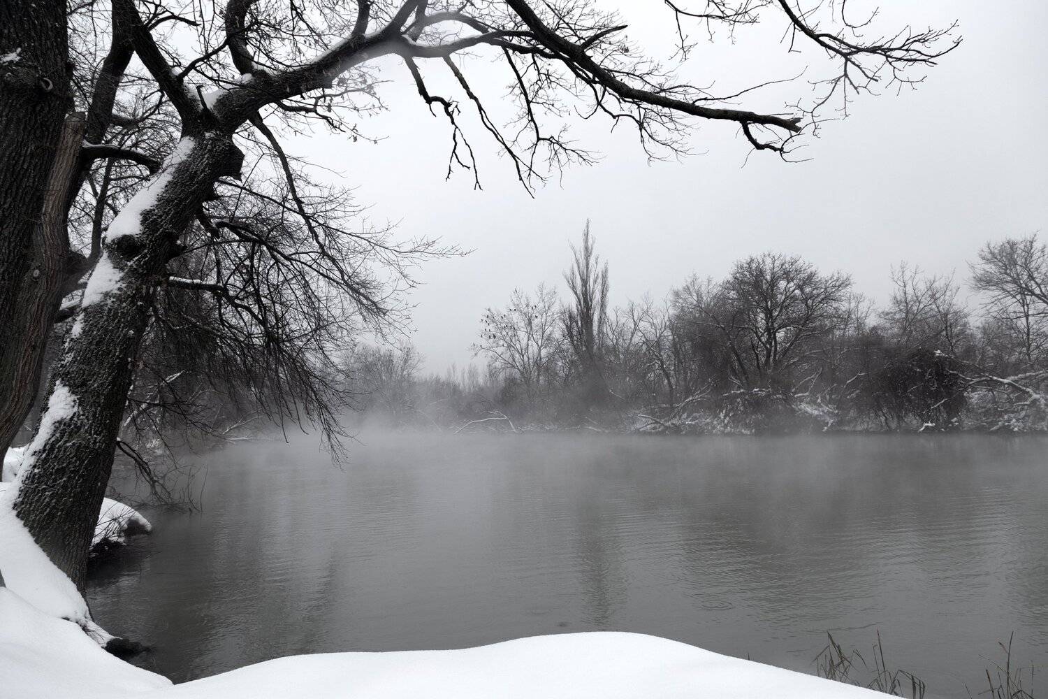 , Алексей Рыльский