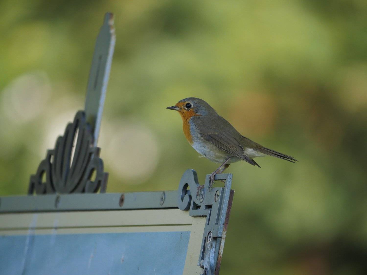 , Борис Раба